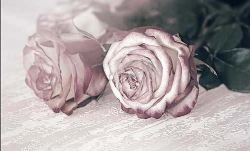 玫瑰桌花摄影照片_桌面上的玫瑰花束。
