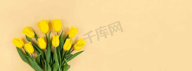 米色海报背景摄影照片_米色背景上的黄色郁金香花束，带复制空间。