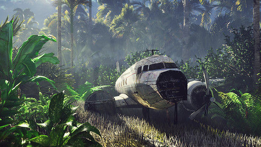 飞机残骸摄影照片_失事飞机位于棕榈树和热带植被中间的丛林中。 
