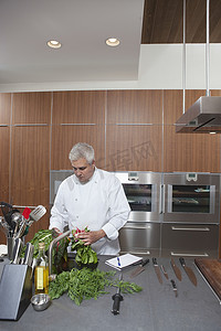蔬菜清洗摄影照片_男厨师在商用厨房水槽中清洗叶类蔬菜