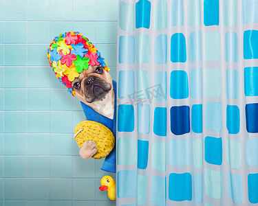 洗澡的狗