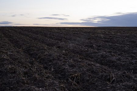 夕阳下田野上刚耕过的黑色肥沃土壤。
