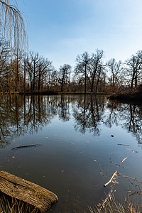 大池塘摄影照片_倒映在小公园大池塘中的树木和灌木
