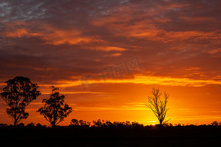 漂泊一生摄影照片_一生一次在澳大利亚的日落与树木的轮廓，科布拉姆，维多利亚