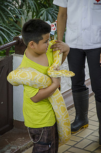 2014 年 4 月 6 日在泰国曼谷泰国红十字会蛇场举行的蛇展