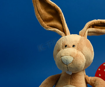 蓝色背景中长着大耳朵和滑稽脸的滑稽米色毛绒兔子