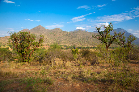 肯尼亚的风景、山丘和蓝天的树木