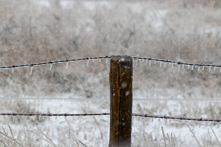 倒钩摄影照片_降雪和被冰覆盖的倒钩铁丝网