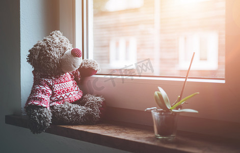 离开概念：泰迪熊正看着窗外，阳光
