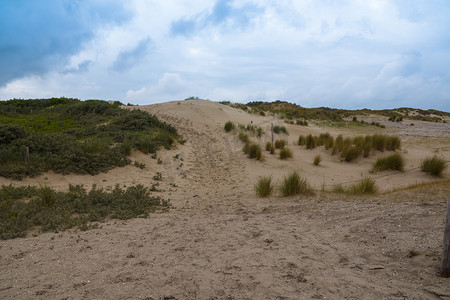 荷兰沙漠中的沙丘