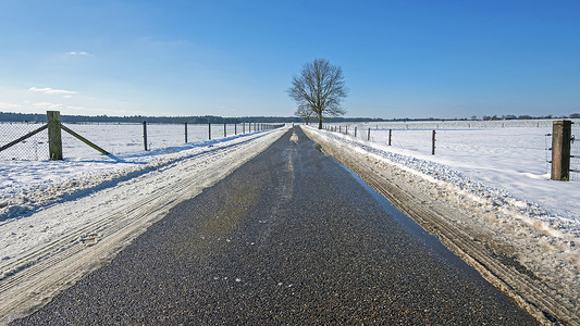 荷兰乡村的荷兰冬季景观