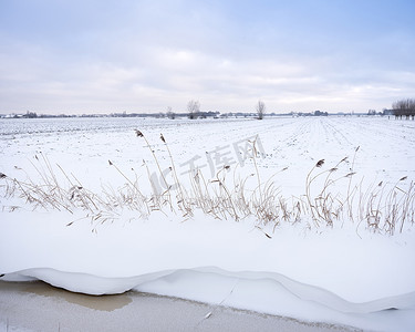 荷兰乌得勒支附近冬季积雪覆盖的农田，有沟渠和芦苇