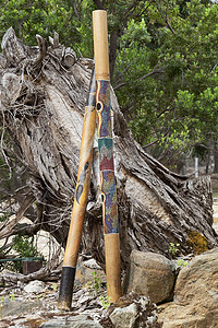 “两首迪吉里杜管，澳大利亚本土乐器”