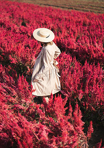 身穿风衣、头戴草帽的女子背影走在红花田中。