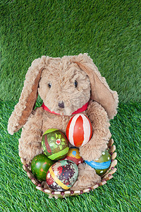 兔子，坐着，把彩蛋放在草地上的篮子里，为了快乐