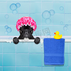 洗澡的狗