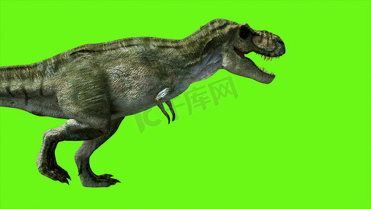 绿色怪兽摄影照片_绿色屏幕上的 T Rex Tyrannosaur 恐龙。 