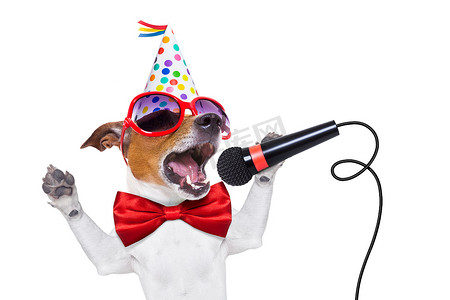 生日快乐狗唱歌