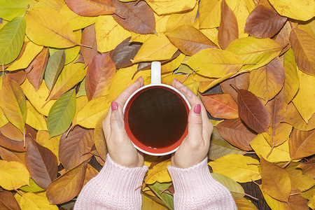女人的手穿着暖和的毛衣，黄色的秋叶上放着一杯茶