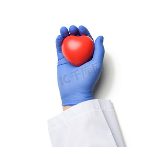男医生手戴蓝色乳胶手套，白大衣拿着红心，捐赠概念