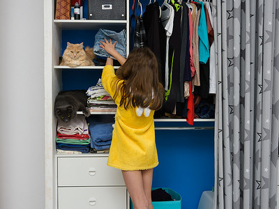 放衣服的架子摄影照片_在一个敞开的壁橱里，两只猫坐在架子上放东西，一个女孩把折叠的衣服和一只猫放在架子上