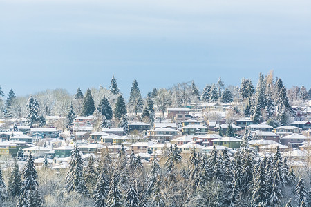 冬日雪中的郊区住宅