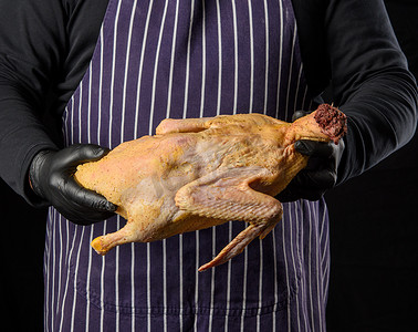 穿着蓝色条纹围裙和黑色衣服的男厨师站在黑色背景上，手里拿着一只鸭子做饭