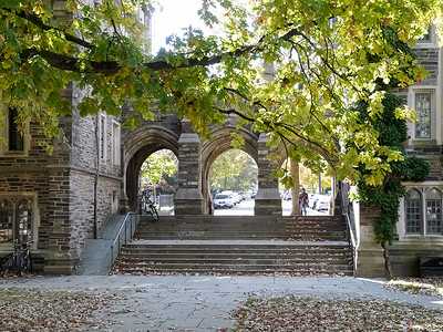 普林斯顿大学亨利和福克大厅之间的大门