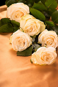 包装康乃馨摄影照片_金色丝绸背景中的白玫瑰特写