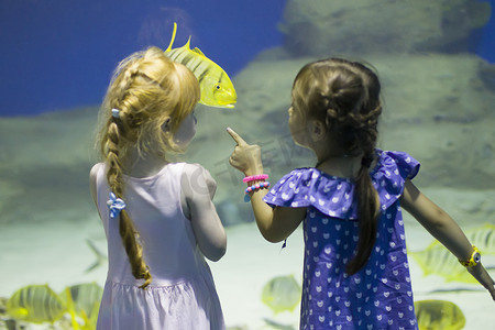 海洋馆里的孩子们考虑鱼。小女孩在水族馆里看鱼缸。探索水下世界