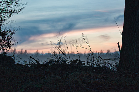 天空和树枝摄影照片_树枝和树枝在日落时的剪影