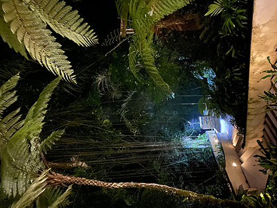 印度尼西亚巴厘岛乌布夜间豪华别墅- 图库照片