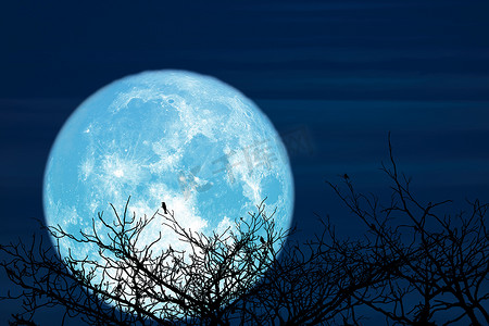 夜空中的超级鲟鱼蓝月亮和现出轮廓的椰子树山