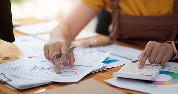 女性投资顾问分析公司年度财务报告资产负债表报表与文件图表。
