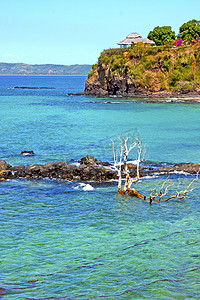死树和岩石中美丽的安迪拉纳海滩海藻
