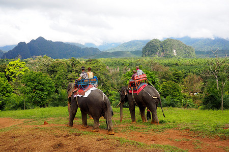 泰国骑大象的游客