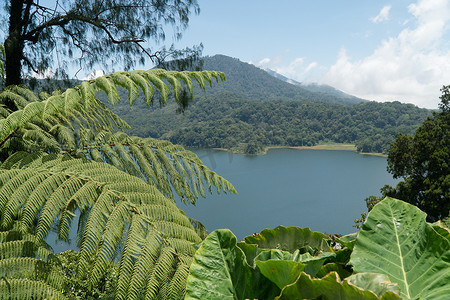 山中的湖，巴厘岛，印度尼西亚。