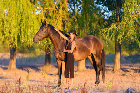 一个女孩在树的背景下拥抱一匹马，落日的光芒落在他们身上