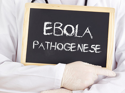 医生展示信息：埃博拉发病机制（德语）