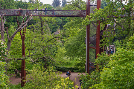 Treetop Walkway 让游客步行穿过 200 米长的皇家植物园 (Royal Botanic Gardens) 森林树冠，鸟瞰 18 米高的花园，置身于树木之中。