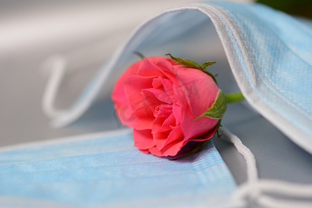 外科口罩下粉红玫瑰的特写