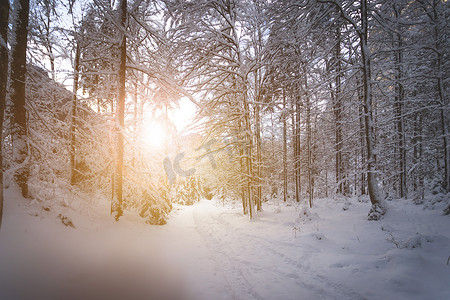 中仙境摄影照片_在自然中的晴朗的冬天风景：小径、多雪的树、阳光和蓝天