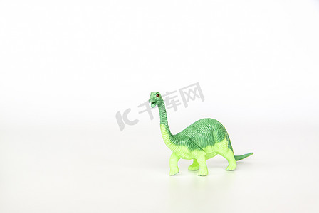 在白色背景上的玩具恐龙。