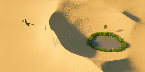 沙漠和绿洲摄影照片_黑色飞机飞过沙漠沙丘和一片小绿洲