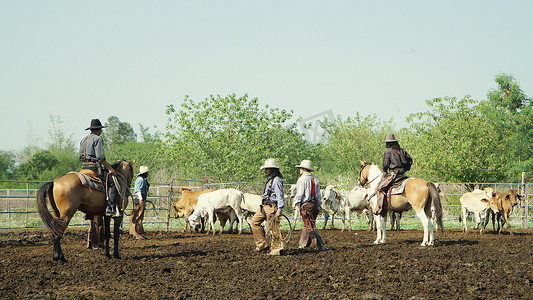 农民在农场工作，奶牛在栅栏里。