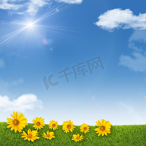 向日葵太阳摄影照片_在天空、云彩、太阳背景的向日葵
