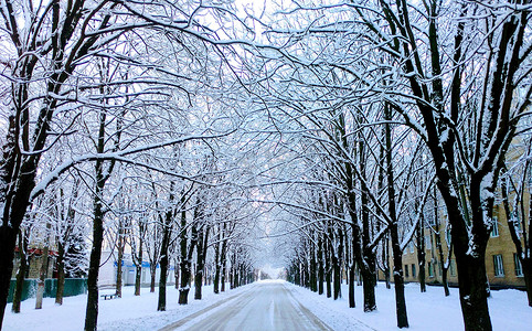 雪街道摄影照片_空荡荡的雪地清晨街道