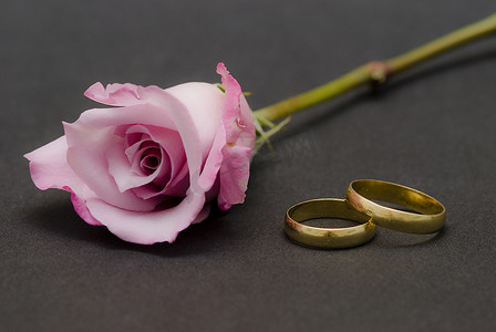 玫瑰花黑色摄影照片_黑色的粉红玫瑰和结婚戒指。