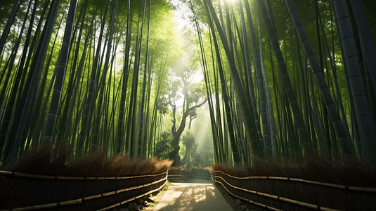 风凉摄影照片_竹林小道