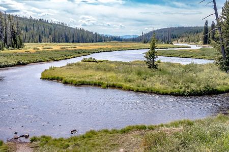 怀俄明州黄石国家公园的草原和河流概览
